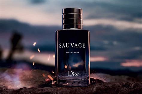 sauvage dior parfume|what does Dior Sauvage smell like.